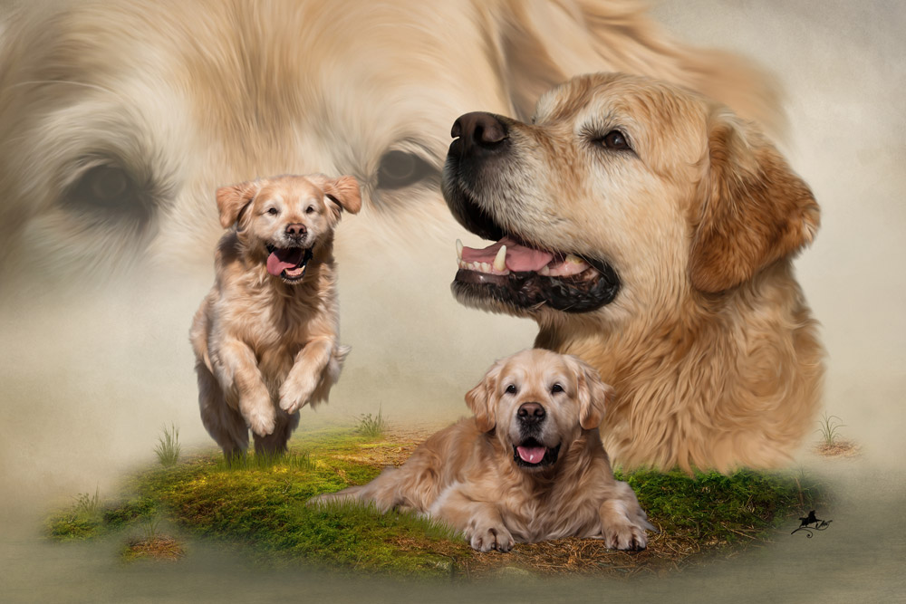 Maltechnik HundeCollagen Utes Tiercollagen