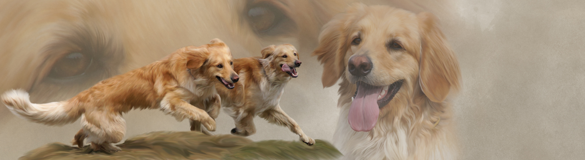 Hunde-Collage durch Foto-Collage mit Hunden
