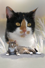 Mehr zum Thema Maltechnik Katzen Maltechnik Katzen